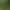 Un homme marche dans une forêt dense avec un panier et un bâton